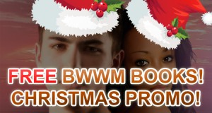 Christmas BWWM Romance Books For Festive Moods